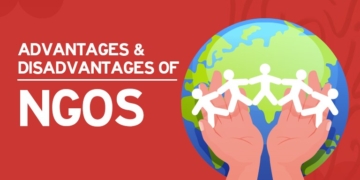 Advantages and disadvantages of ngos